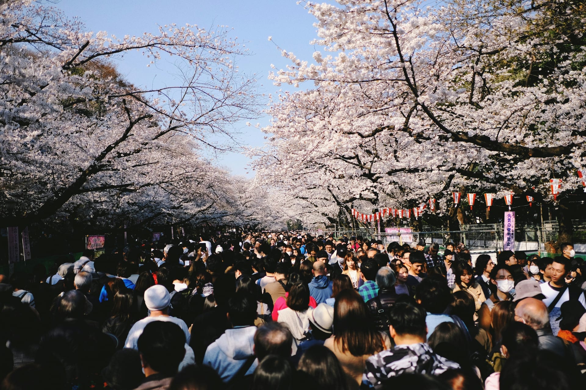 Ueno Park open green lawns and tree-lined pathways with visitors relaxing and families walking through the park in Tokyo, Japan
